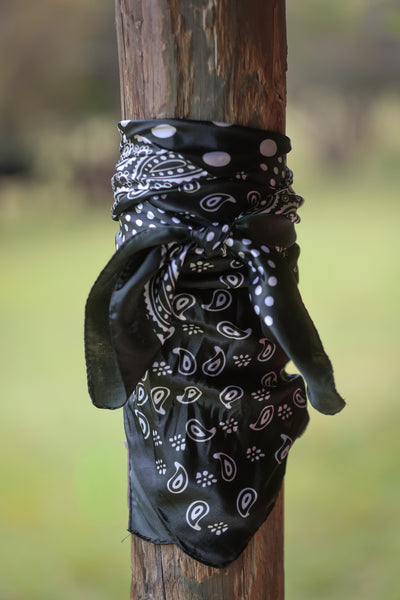 Polka Dot Handkerchief Wild Rag