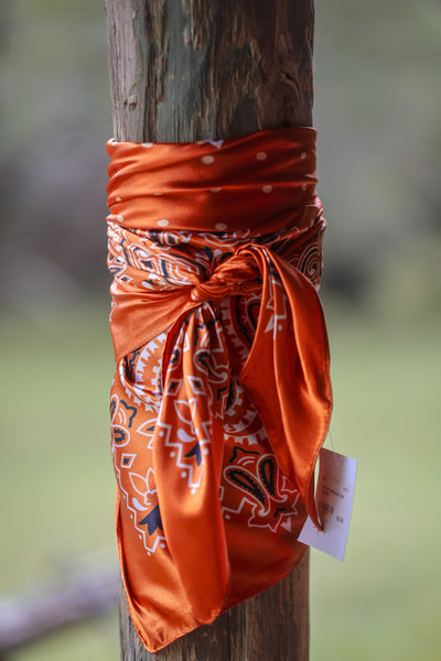 Polka Dot Handkerchief Wild Rag